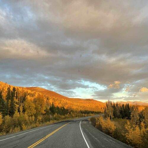 Photo #11894042