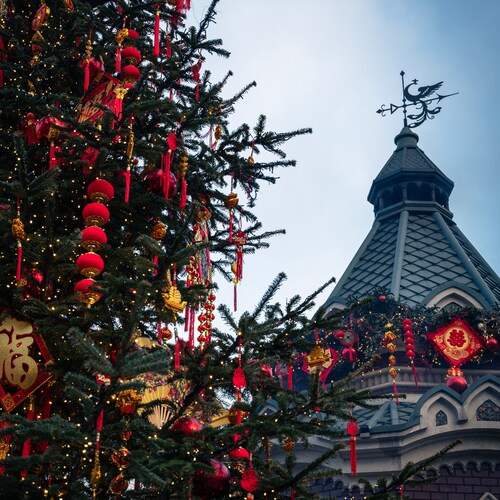Photo #11894110