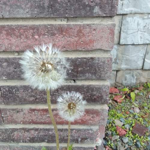 Photo #11894113