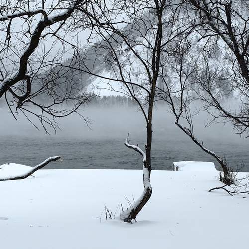 Photo #11894202