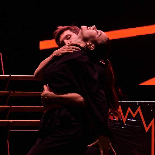 Photo #11894260