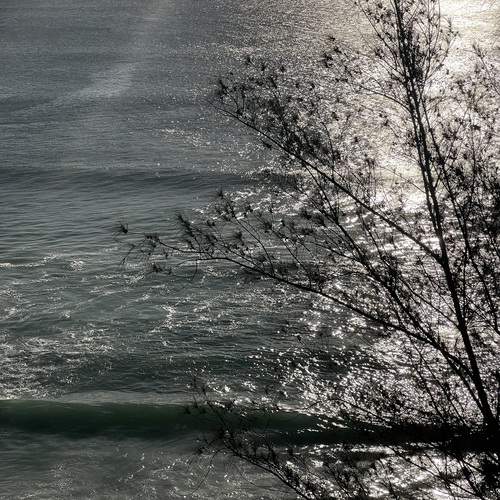 Photo #11894325