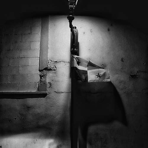 Photo #11894362