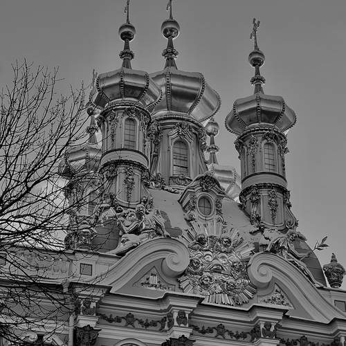 Photo #11894645