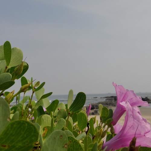 Photo #11894697