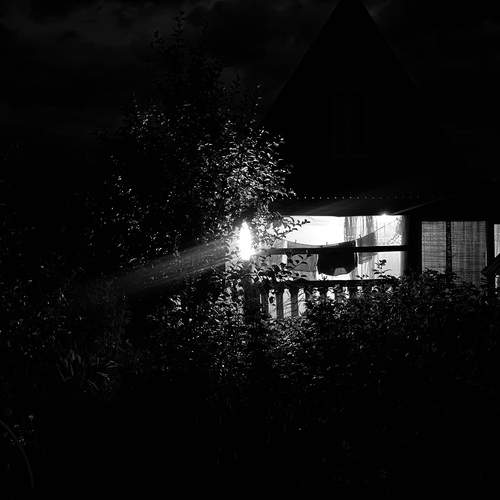 Photo #11894791