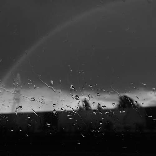 Photo #11894792