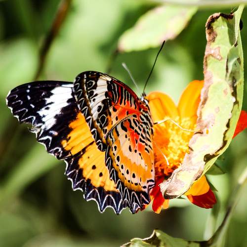 Photo #11894884