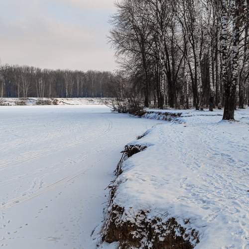 Photo #11894912