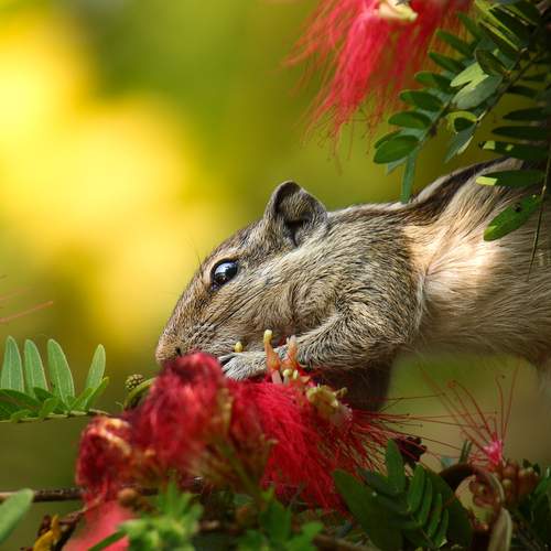 Photo #11894945