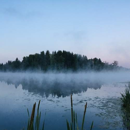 Photo #11894956