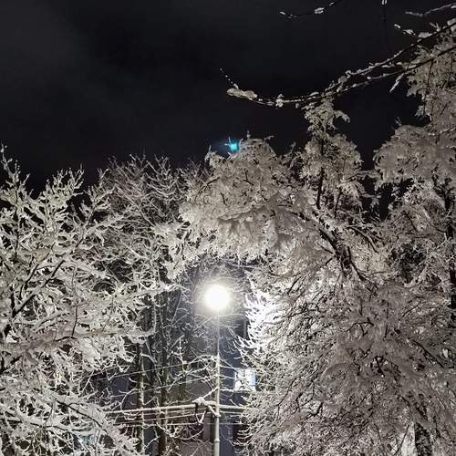 Photo #11894997