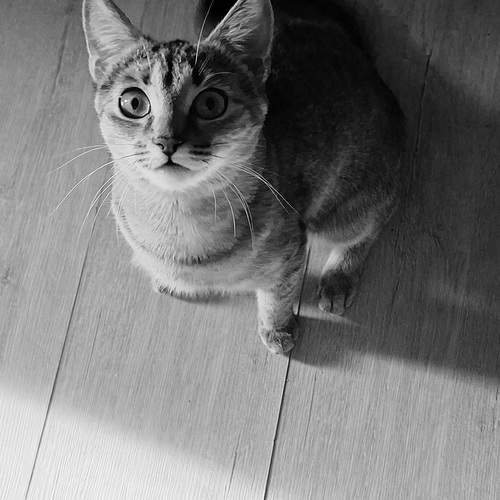 Photo #11895026