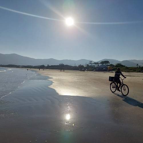 Photo #11895037