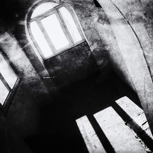 Photo #11895126