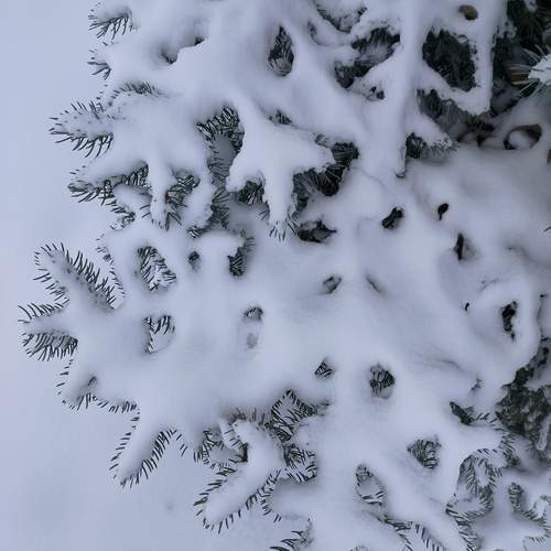 Photo #11895363