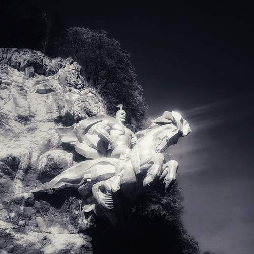 Photo #11895506