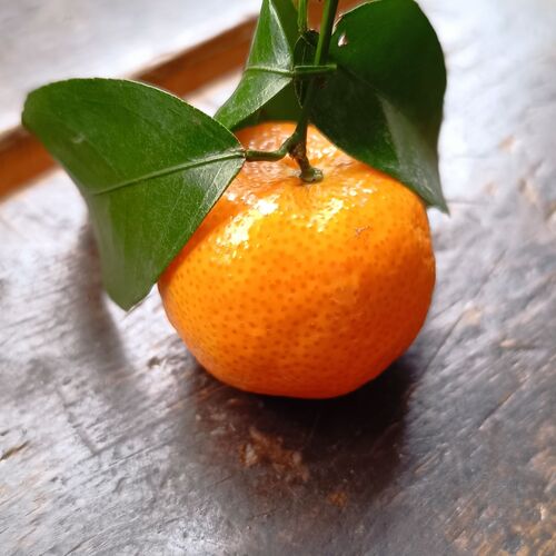 Photo #11895550