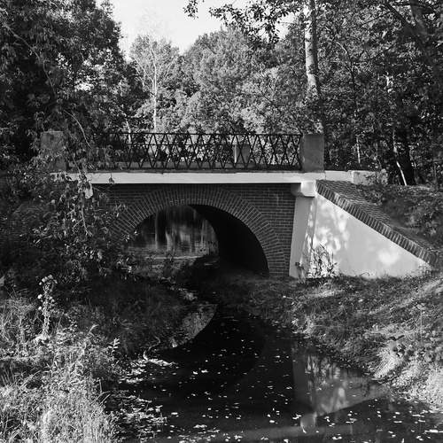 Photo #11895614