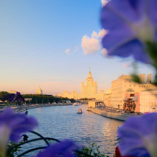 Photo #11895743