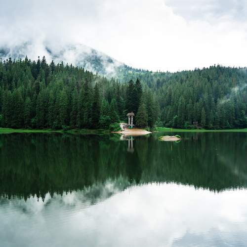 Photo #11895800