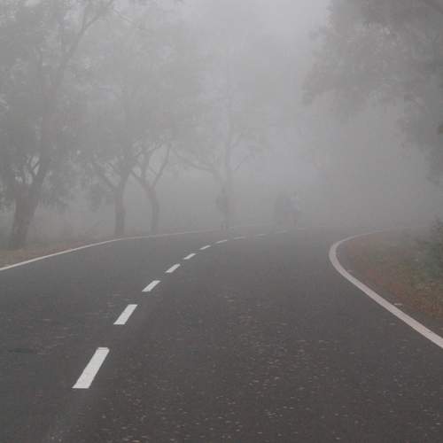 Photo #11895870