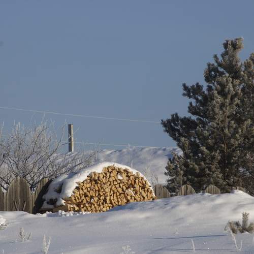 Photo #11895900