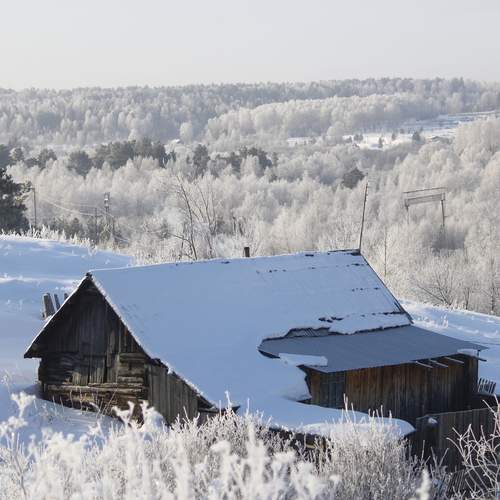Photo #11895902