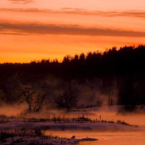 Photo #11895904