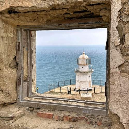 Photo #11896142
