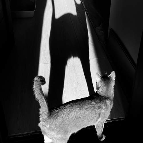 Photo #11896154