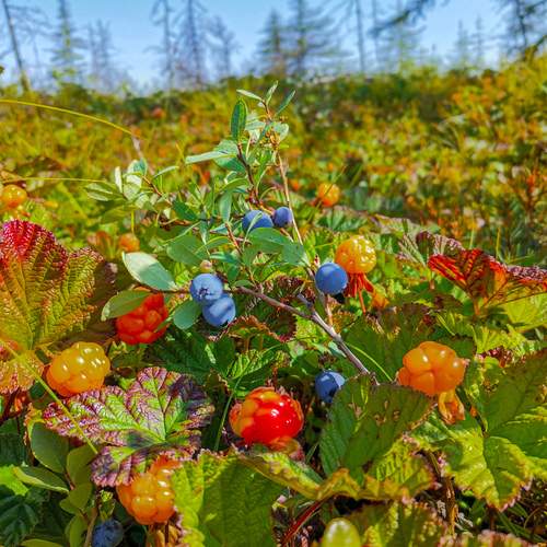 Photo #11896249
