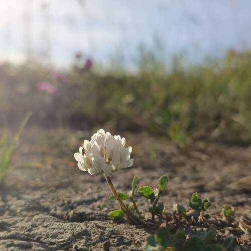 Photo #11896326