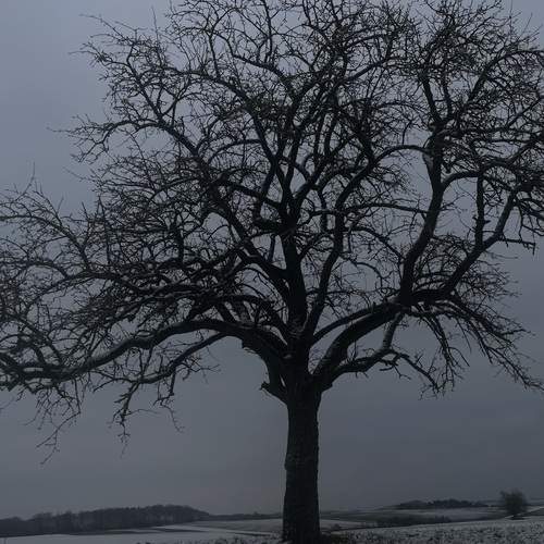 Photo #11896435