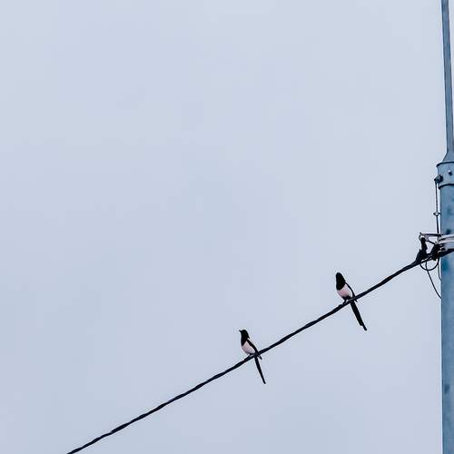 Photo #11896526