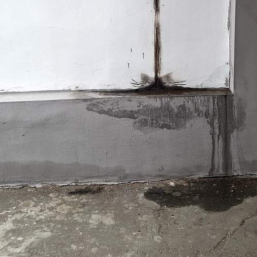 Photo #11896614