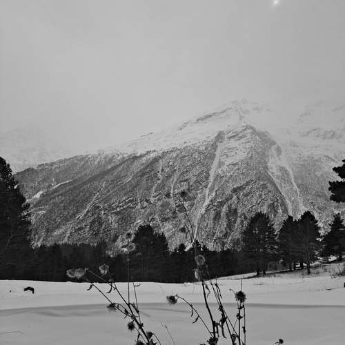 Photo #11896712