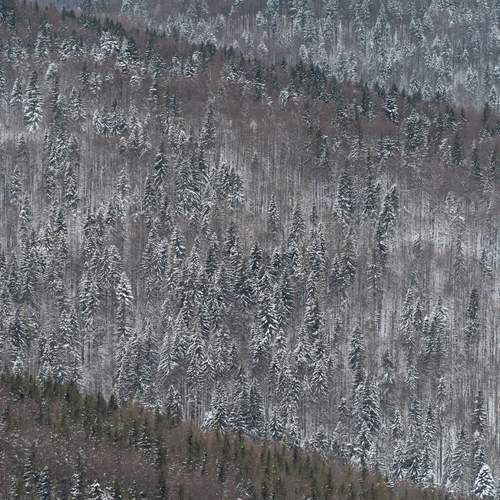Photo #11896754