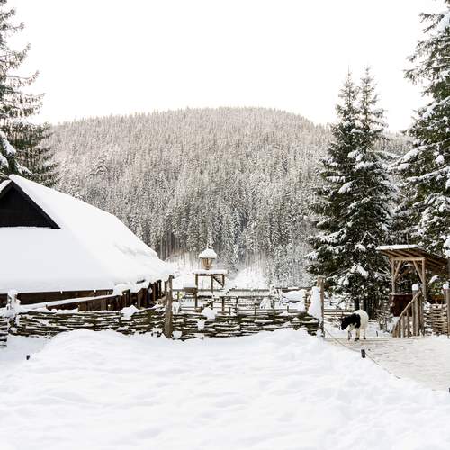 Photo #11896818