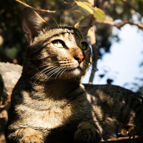 Photo #11896929