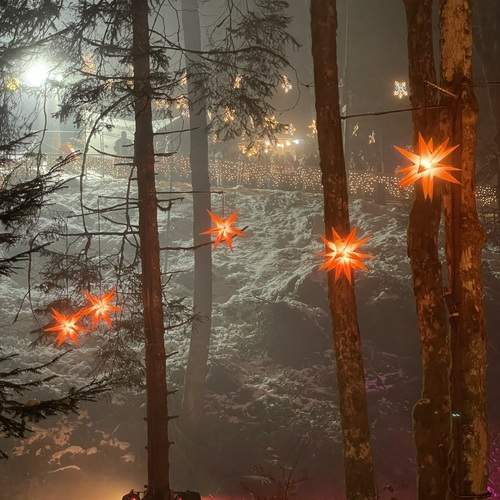 Photo #11896963
