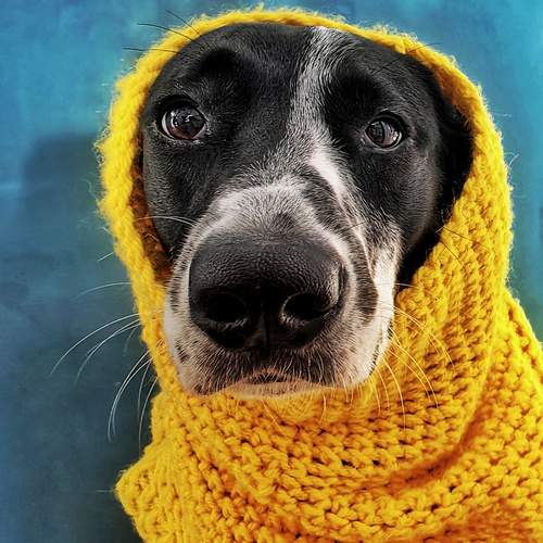 Photo #11896968