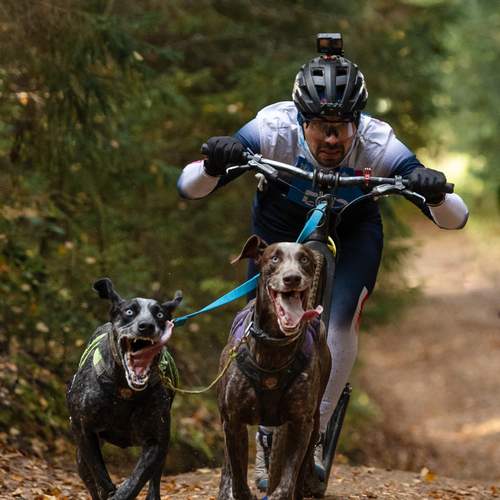 Photo #11897039