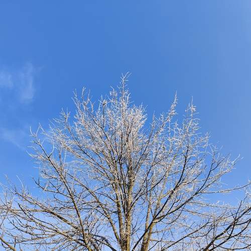 Photo #11897139