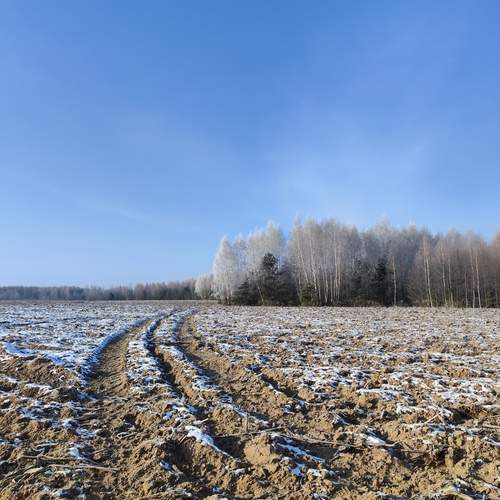Photo #11897140