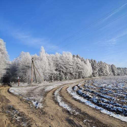 Photo #11897160