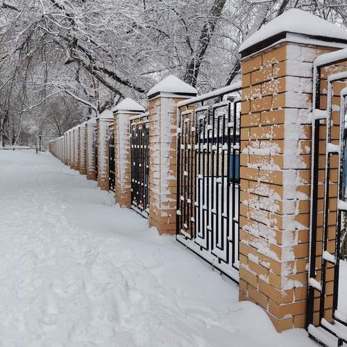 Photo #11897168