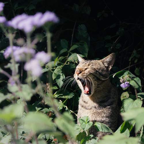 Photo #11897186