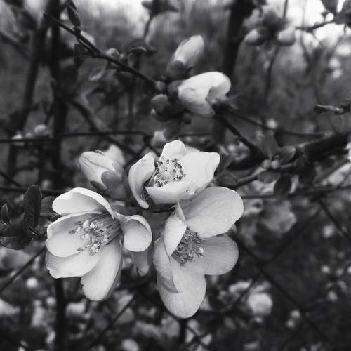 Photo #11897227