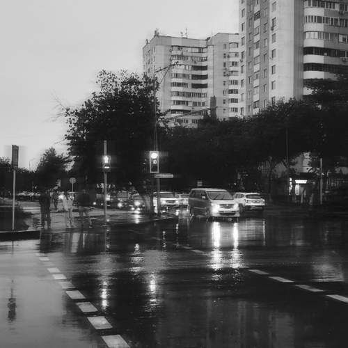 Photo #11897268
